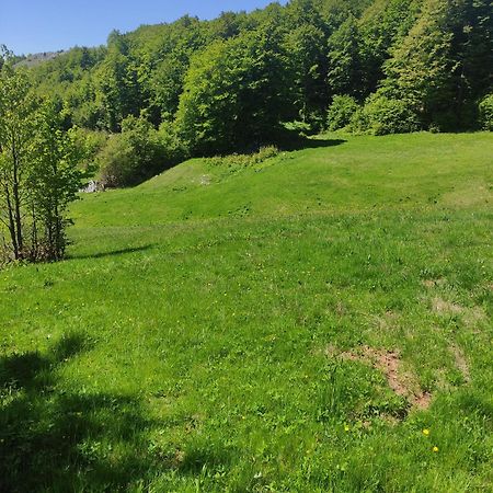 Villa Durmitorske Kolibe Žabljak Exterior foto